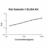 Rat Galectin-1 ELISA Kit EZ-Set™ (DIY Antibody Pairs) Boster Bio