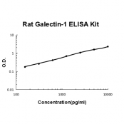 Rat Galectin-1 ELISA Kit EZ-Set™ (DIY Antibody Pairs) Boster Bio