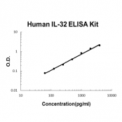 Human IL-32 ELISA Kit EZ-Set™ (DIY Antibody Pairs) Boster Bio