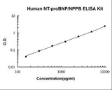 Human NT-proBNP/NPPB ELISA Kit PicoKine® Boster Bio