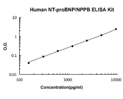 Human NT-proBNP/NPPB ELISA Kit PicoKine® Boster Bio