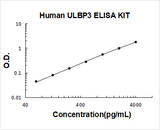 Human ULBP3 ELISA Kit PicoKine® Boster Bio