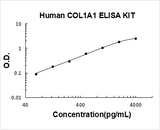 Human Pro-collagen I alpha 1/COL1A1 ELISA Kit PicoKine® Boster Bio