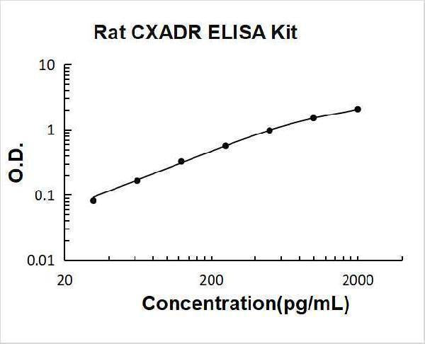 Rat CXADR ELISA Kit PicoKine® Boster Bio