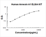Human Annexin A1 ELISA Kit PicoKine® Boster Bio