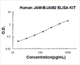 Human JAM-B/JAM2 ELISA Kit PicoKine® Boster Bio