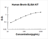 Human Brorin ELISA Kit PicoKine® Boster Bio