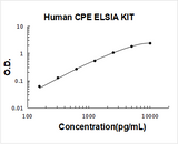 Human CPE/Carboxypeptidase E ELISA Kit PicoKine® Boster Bio