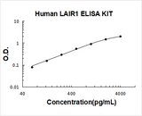 Human LAIR1 ELISA Kit PicoKine® Boster Bio