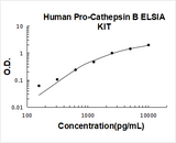Human Pro-Cathepsin B ELISA Kit PicoKine® Boster Bio