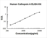 Human Cathepsin A ELISA Kit PicoKine® Boster Bio