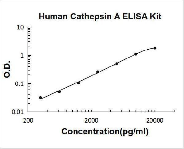 Human Cathepsin A ELISA Kit PicoKine® Boster Bio