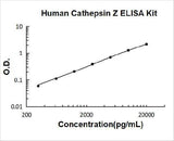 Human Cathepsin Z ELISA Kit PicoKine® Boster Bio