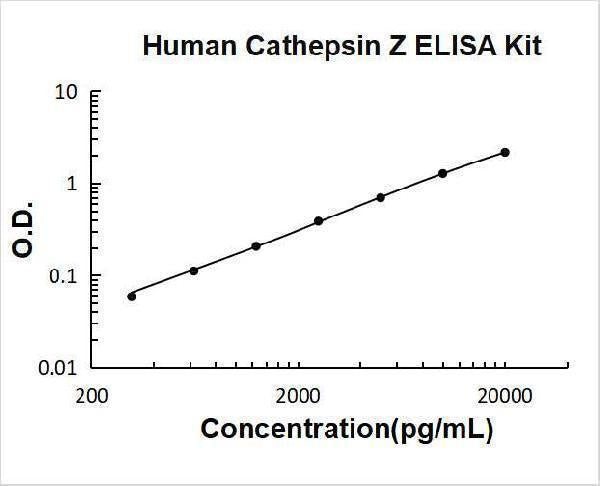 Human Cathepsin Z ELISA Kit PicoKine® Boster Bio
