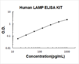 Human LAMP ELISA Kit PicoKine® Boster Bio