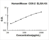 Human/Mouse COX-2 ELISA Kit PicoKine® Boster Bio