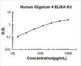 Human Glypican 4 ELISA Kit PicoKine® Boster Bio