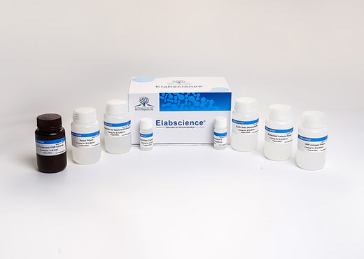 Elabscience E-ELIR-K001 Ancillary Reagent Kit