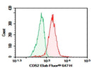 Anti-Human CD52 Antibody [5F7] - ABMIUM