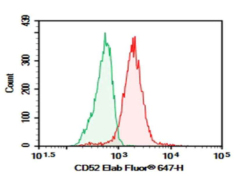 Anti-Human CD52 Antibody [5F7] - ABMIUM