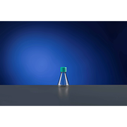 250 mL PC Erlenmeyer Flasks, with Baffles, Vent Filter Caps, Sterile,1/pk, 12/cs — NEST Cat. No. 782211