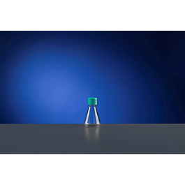 250 mL PC Erlenmeyer Flasks, with Baffles, Vent Filter Caps, Sterile,1/pk, 12/cs — NEST Cat. No. 782211