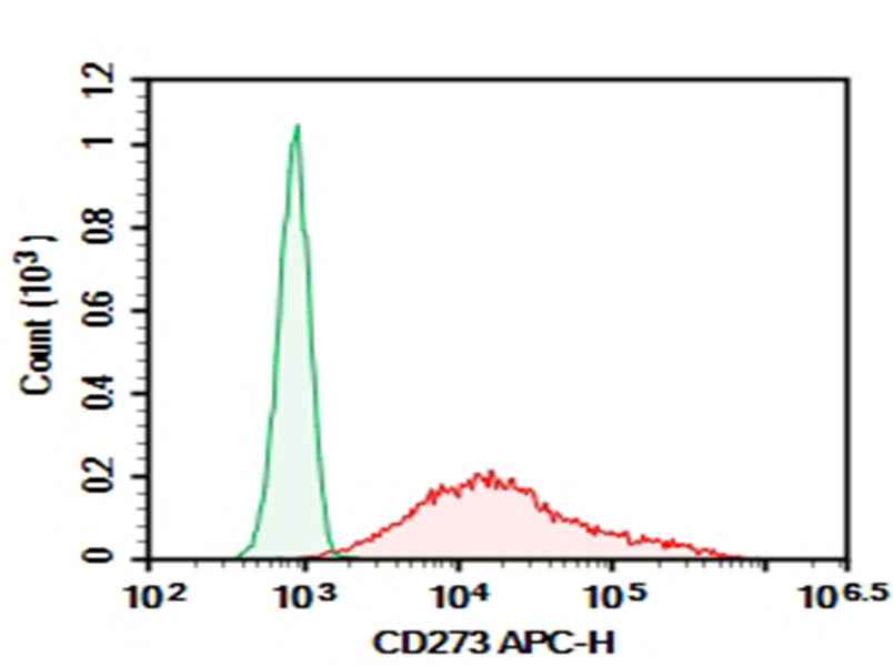 Anti-Human CD273 Antibody [HIQB273-2] - ABMIUM
