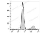 HEK293T cells transiently transfected with pcDNA3.1 plasmid encoding Human IL-17A gene are stained with FITC Anti-Human IL-17A Antibody (filled gray histogram) or FITC Mouse IgG1, κ lsotype Control (empty black histogram).