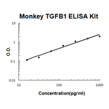 Monkey primate TGF Beta 1 EZ-Set™ ELISA Kit (DIY Antibody Pairs) Boster Bio