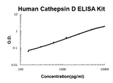 Human Cathepsin D EZ-Set™ ELISA Kit (DIY Antibody Pairs) Boster Bio
