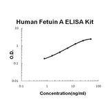 Human Fetuin A/AHSG EZ-Set™ ELISA Kit (DIY Antibody Pairs) Boster Bio