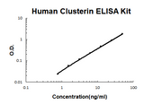 Human Clusterin EZ-Set™ ELISA Kit (DIY Antibody Pairs) Boster Bio