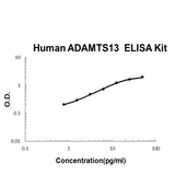 Human ADAMTS13 ELISA Kit EZ-Set™ (DIY Antibody Pairs) Boster Bio