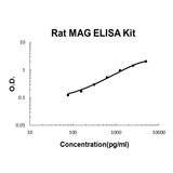 Rat MAG EZ-Set™ ELISA Kit (DIY Antibody Pairs) Boster Bio