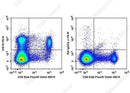 Anti-Mouse VISTA Antibody [MIH63] - ABMIUM
