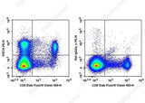 Anti-Mouse VISTA Antibody [MIH63] - ABMIUM