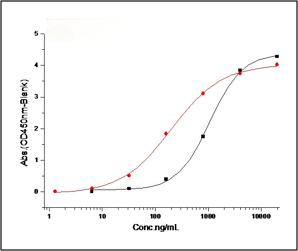 Measured by its binding ability in a functional ELISA. Immobilized Spike Protein S1 (aa 1-725) (Cat: PKSV030240) at 10 μg/ml (100 μl/well) can bind biotinylated human DPP4 (Cat: PKSH033811). The EC<sub>50</sub> of of biotinylated DPP4 (Cat: PKSH033811) is 0.52-1.22 μg/ml. <br/>Measured by its binding ability in a functional ELISA. Immobilized Spike Protein S1 (aa 1-725) (Cat: PKSV030240) at 10 μg/ml (100 μl/well) can bind biotinylated Fc-DPP4 (Cat: PKSH030456). The EC<sub>50</sub> of biotinylated Fc-DPP4 (C