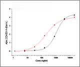 Measured by its binding ability in a functional ELISA. Immobilized Spike Protein S1 (aa 1-725) (Cat: PKSV030240) at 10 μg/ml (100 μl/well) can bind biotinylated human DPP4 (Cat: PKSH033811). The EC<sub>50</sub> of of biotinylated DPP4 (Cat: PKSH033811) is 0.52-1.22 μg/ml. <br/>Measured by its binding ability in a functional ELISA. Immobilized Spike Protein S1 (aa 1-725) (Cat: PKSV030240) at 10 μg/ml (100 μl/well) can bind biotinylated Fc-DPP4 (Cat: PKSH030456). The EC<sub>50</sub> of biotinylated Fc-DPP4 (C