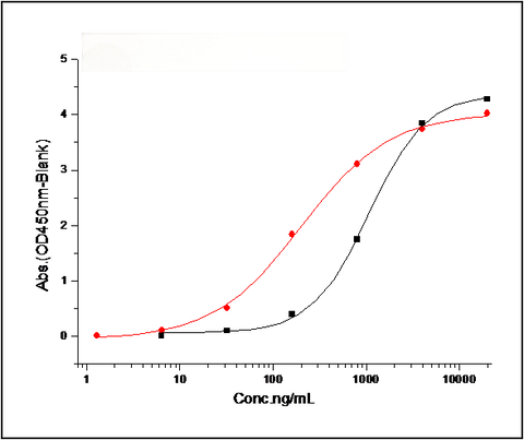 Measured by its binding ability in a functional ELISA. Immobilized Spike Protein S1 (aa 1-725) (Cat: PKSV030240) at 10 μg/ml (100 μl/well) can bind biotinylated human DPP4 (Cat: PKSH033811). The EC<sub>50</sub> of of biotinylated DPP4 (Cat: PKSH033811) is 0.52-1.22 μg/ml. <br/>Measured by its binding ability in a functional ELISA. Immobilized Spike Protein S1 (aa 1-725) (Cat: PKSV030240) at 10 μg/ml (100 μl/well) can bind biotinylated Fc-DPP4 (Cat: PKSH030456). The EC<sub>50</sub> of biotinylated Fc-DPP4 (C
