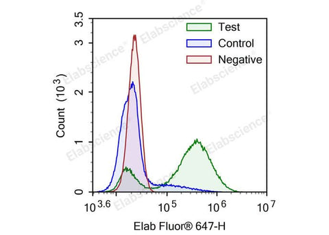 Camptothecin-induced apoptosis in HL-60 cells. Test: HL-60 cells were treated with 2.5 μM Camptothecin for 4h. Control: Normal HL-60 cells were not treated with drugs. Negative: HL-60 cells were treated with 2.5 μM camptothecin for 4h without TdT enzyme.