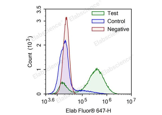 Camptothecin-induced apoptosis in HL-60 cells. Test: HL-60 cells were treated with 2.5 μM Camptothecin for 4h. Control: Normal HL-60 cells were not treated with drugs. Negative: HL-60 cells were treated with 2.5 μM camptothecin for 4h without TdT enzyme.