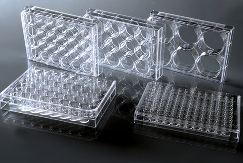 NEST® Cell Culture Plates, TC-treated, V-bottom