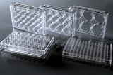 NEST® Cell Culture Plates, Non-TC, Clear
