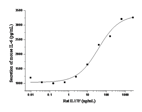 Immobilized rat IL17F-His at 10 μg/mL (100 μL/well) can bind Rat IL17RA-Fc3 (Cat: PKSR030332). The EC<sub>50</sub> of Rat IL17RA-Fc3 (Cat: PKSR030332) is 0.28-0.66 μg/mL.