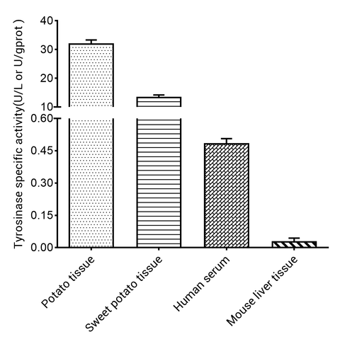 Tyrosinase Activity Colorimetric Assay Kit - ABMIUM