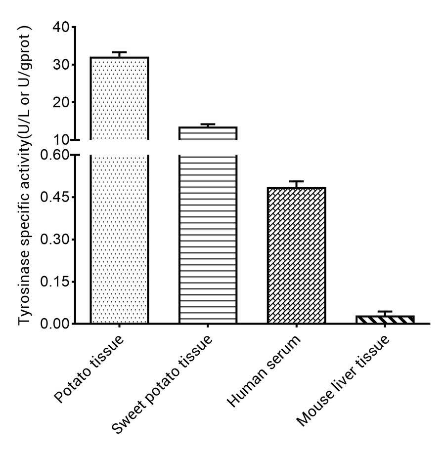 Tyrosinase Activity Colorimetric Assay Kit - ABMIUM