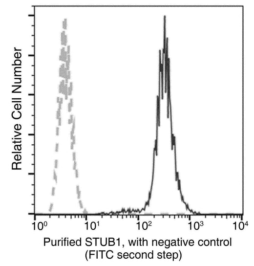 Anti-Human STUB1 Antibody [A1230] - ABMIUM