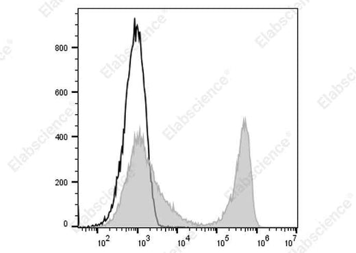 Anti-Mouse Ig light chain κ Antibody [187.1] - ABMIUM
