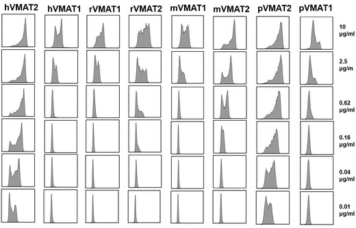 Flow Cytometry results for Anti-Human VMAT2 Antibody (JP1217)