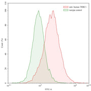 Flow Cytometry results for Human TRBC1 Monoclonal Antibody